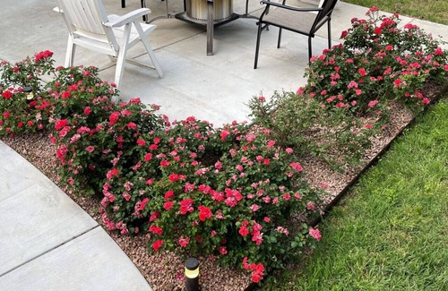 Georgetown House | Cozy Fun Upscale Hot Tub - Pool Table - Firepit - Water Bed