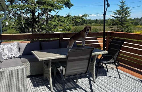 Yarmouth County House | Cozy Getaway! - Oceanview Nova Scotian Sailor's Cottage with Modern Amenities