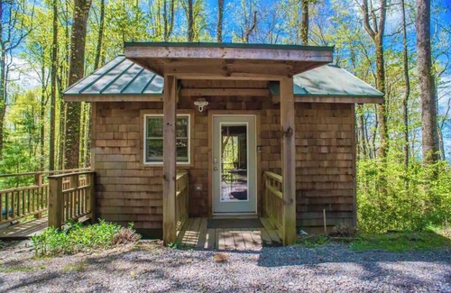 Chimney Rock Cabin | Cozy Guest Cabin Pet Friendly Secluded Peaceful