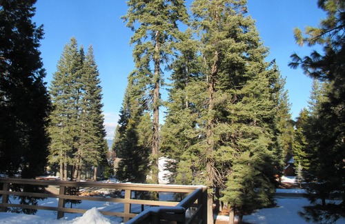 Lake Almanor West Cabin | Cozy Hilltop Cabin in Lake Almanor