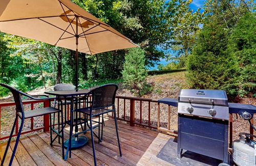 Kodak Cabin | Cozy home w/large yard, games, close to Douglas Lake - free attraction tickets