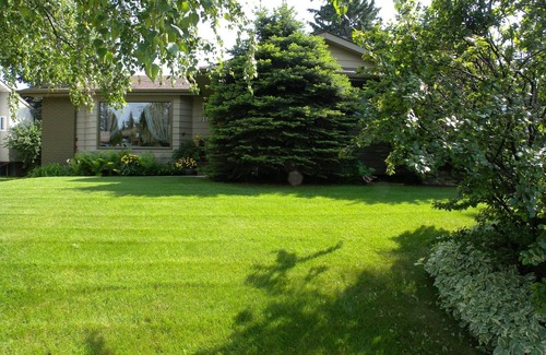 Southwest Calgary House | Cozy home 🏡 with 2 Bedrooms with home office 2 Baths House