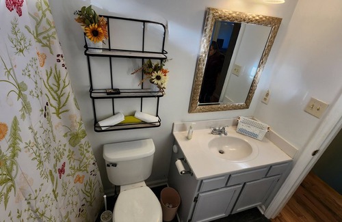 Northeast Raleigh House | Cozy house in quiet area and close to everything. 7 miles from Raleigh downtown