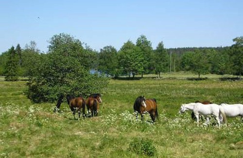 Ulricehamn House | Cozy lakeside holiday home between Ulricehamn and Jönköping