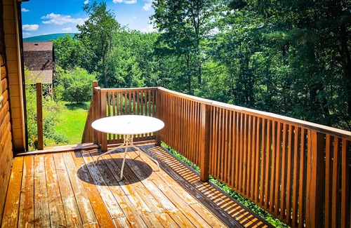 Wurtsboro Cabin | Cozy Loft Cabin high above Bashakill Wildlife Refuge