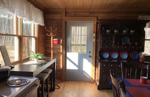 English Cabin | Cozy log cabin with modern amenities and a park view!