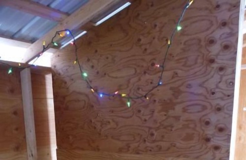 Fairbanks Cabin | Cozy Log / pond cabin ,Oppurtunity for dog sled rides .