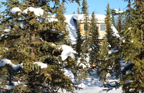 Fairbanks Cabin | Cozy Log / pond cabin ,Oppurtunity for dog sled rides .