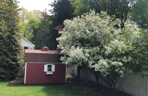 Holland Cottage | Cozy, lots of charm, close to Lake MI. Discount for monthly stays.
