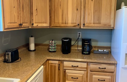 Petoskey Apartment | Cozy Modern Carriage Apartment Close to Shopping Sports Golf & Skiing
