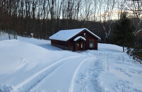 Champion Cabin | Cozy Mountain Cabin~ Seven Springs!