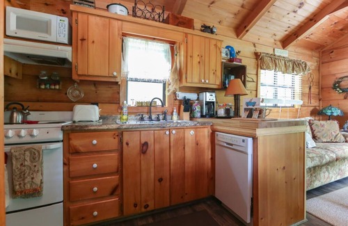 Waynesville Cabin | Cozy mountain cabin with amazing views, year round hot tub and pet friendly