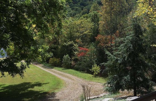 Franklin Cabin | Cozy mountain cabin with hiking trails, tranquil pond and private waterfall!