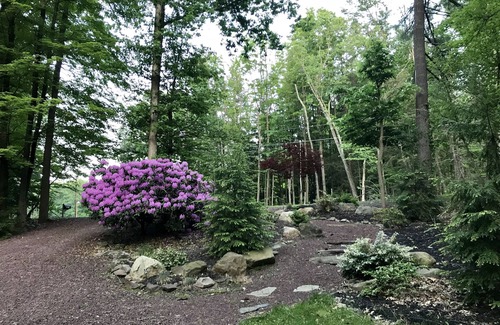 Drums House | Cozy mountainside retreat with lake access to recharge or relax! Kayaks, canoes