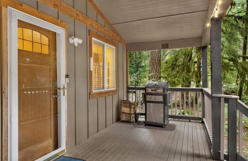 Warnick Cabin | Cozy Mt. Baker Cabin Wi-Fi + Pets OK