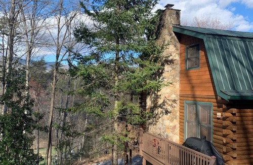 Hayesville Cottage | Cozy Mtn Log Cabin, wonderful views, 5 mins from Hayesville town sq, sleeps 8.