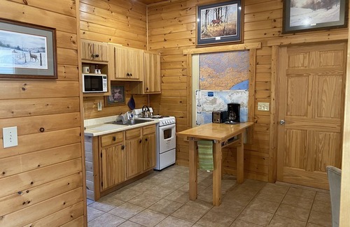Ely Cabin | Cozy Northwoods Cabin