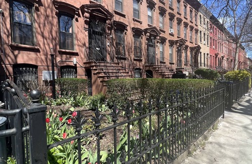 Bedford-Stuyvesant Apartment | Cozy one bedroom in Brooklyn NY