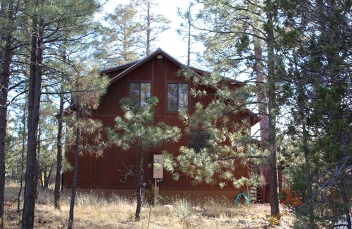 Overgaard House | Cozy, quaint cabin nestled among the pine trees