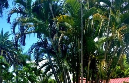Coral Ridge Condo | Cozy Queen Studio-1M walk to Central BEACH- RELAX in the ❤️ of Ft. Lauderdale