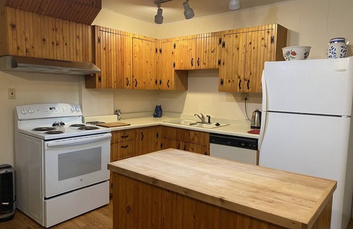 Mount Shasta House | Cozy Ranch Style Cottage in Town