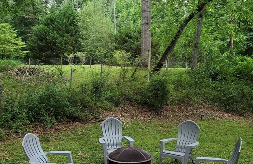 Brevard House | Cozy Relaxing Escape w/Fire Pit - Dog Friendly - 7 minutes to Downtown Brevard