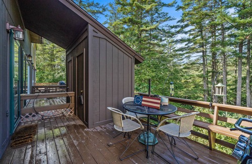 Chestertown Condo | Cozy retreat with fireplace, kayaks, and shared beach/pond access