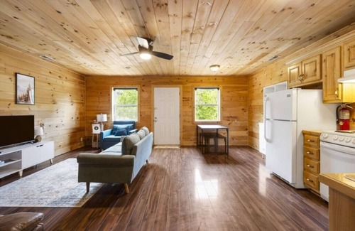 Galena Cabin | Cozy Riverfront Cabin #1 on the James River! Sleeps 4, #1 of 5 Cabins