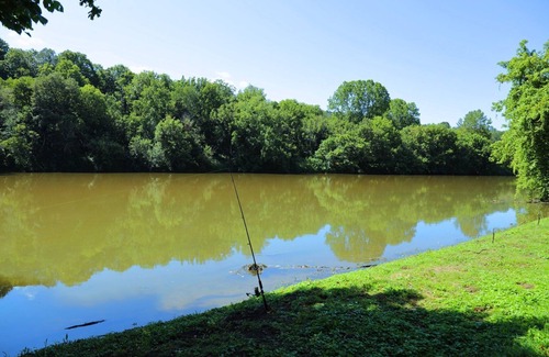 Draper Cabin | Cozy, Romantic Waterfront Home on New River 1BS2 - Midnight Oasis