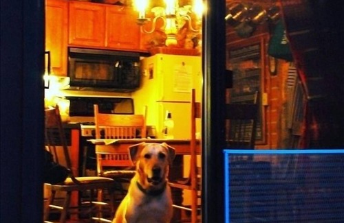 Steamboat Springs Cabin | Cozy Romantic Cabin in the Woods-1 Mile to Downtown Steamboat