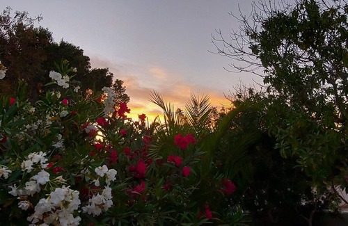 Formentera Cottage | Cozy rural house 2 km from Sant Francesc