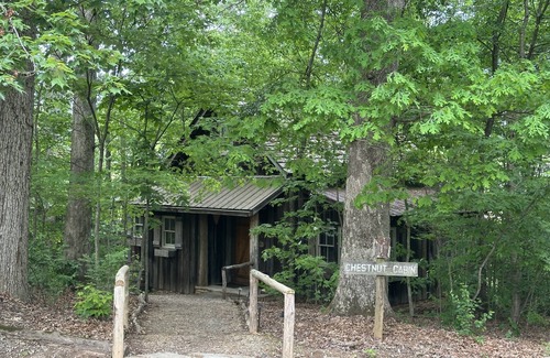 Candler Cabin | Cozy, rustic cabin just minutes from Downtown Asheville!