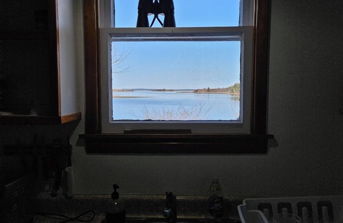 Heckmans Island Cabin | Cozy Sea Front Cottage