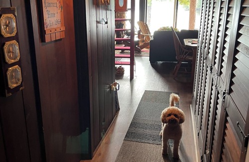 Saranac Lake Cabin | Cozy,secluded waterfront lodge nestled in the Adirondack Mountains. Pet friendly