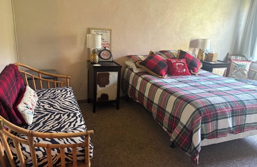 Blodgett Mills Condo | Cozy Slope Side Retreat: Ski/Sun/College Trips/Girls Trip/Upstate Getaway