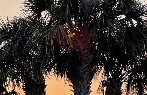 Butler Beach Cottage | Cozy St. Augustine Cottage - Just 2 blocks from the beach!