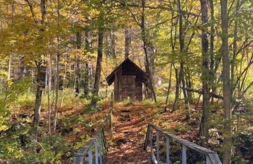 Lanesborough Cabin | Cozy stream-side cabin