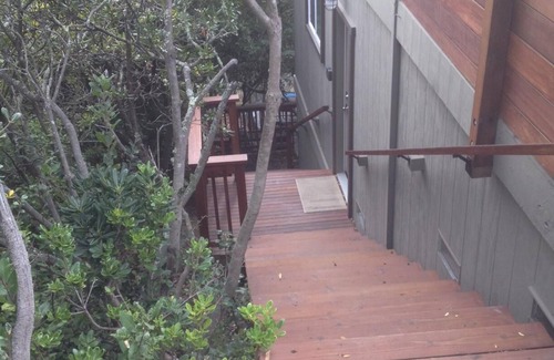 Mill Valley Apartment | Cozy Studio In The Hills Of Mill Valley.