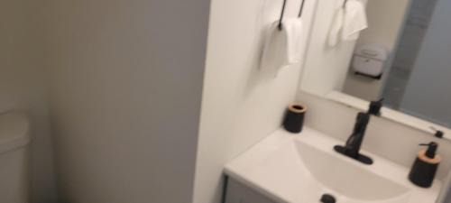 Calverton Apartment | Cozy Studio Walk to Shops, Quick Drive to DC