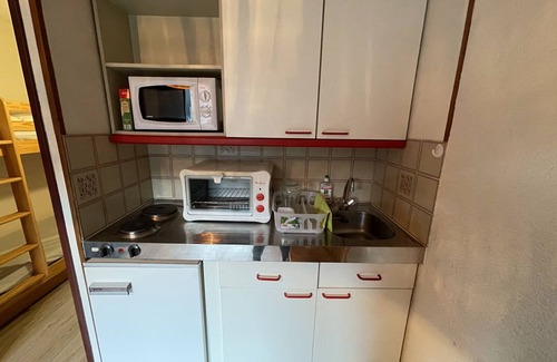 Laveissiere Apartment | Cozy studio with balcony, pets allowed, Le Lioran