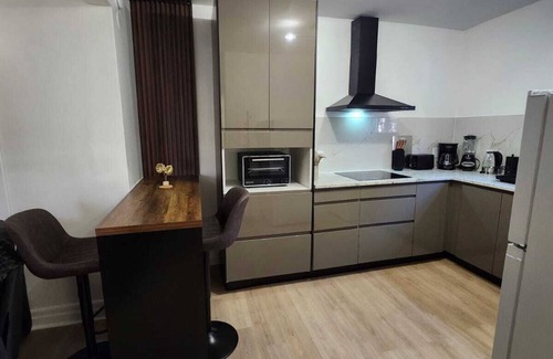 Sudbury Apartment | Cozy/Stylish Studio Downtown