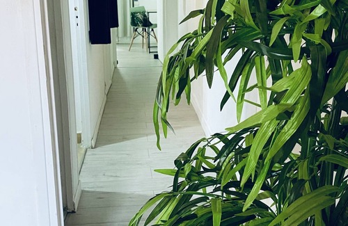 Pointe-a-Pitre Apartment | Cozy suite ✨city center with hot tub✨