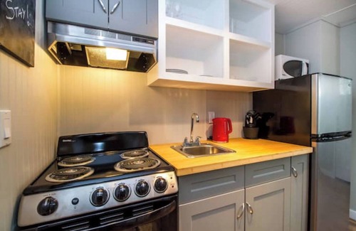 Revelstoke Apartment | Cozy Suites! Great Location! Glacier Suite