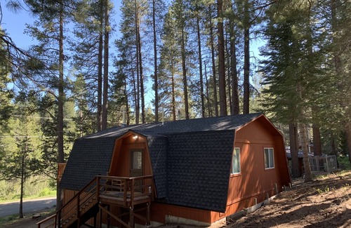Mountain View Estates Cabin | Cozy Tahoe Cabin Nestled in the Forest - Next to Mountain Trails & Sledding Hills - Close to Heavenly