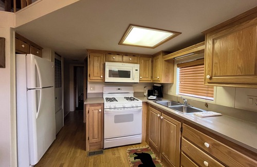 Almont Cabin | Cozy "Tiny Home" style Cabin Perfect for Couples and Families