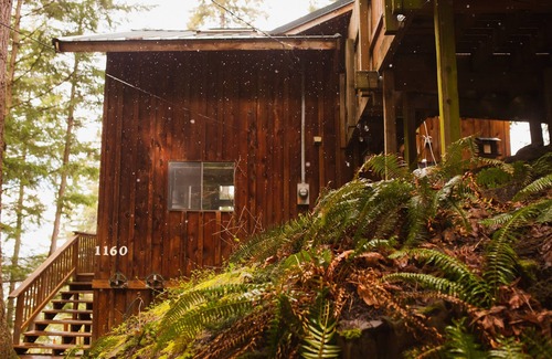 Lummi Island Cabin | Cozy Treetop Cabin *Hot Tub*