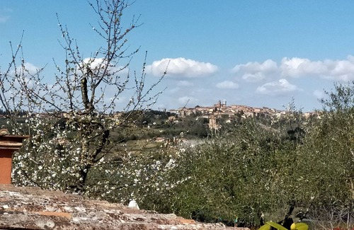 Siena House | Cozy Tuscan-style apartment Suitable for families. Pets allowed