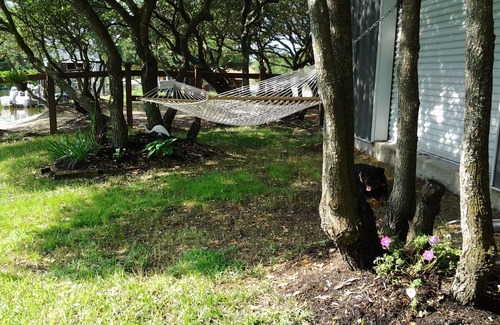 Carova Beach Cottage | Cozy up in this very relaxing efficiency suite surrounded by pristine wildlife.