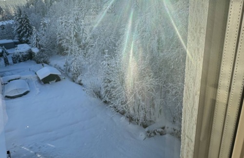 Kniebis Apartment | Cozy vacation apartment in the Schwarzbald - Kniebis