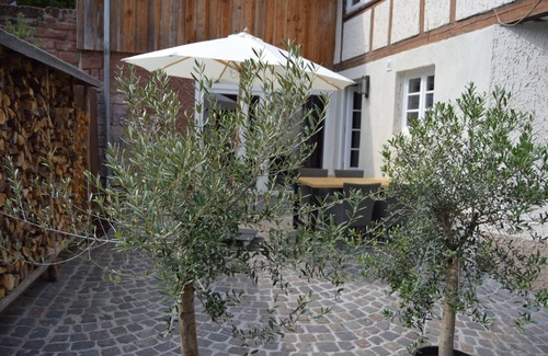 Rumbach Apartment | Cozy vacation apartment in the heart of the Dahner Felsenland